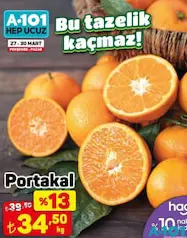 PORTAKAL KG PORTAKAL KG
